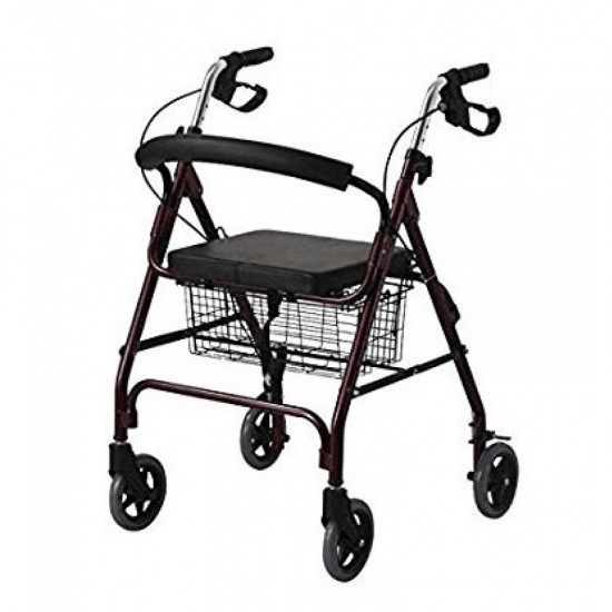 Rollator Walker (RT-60) Karma